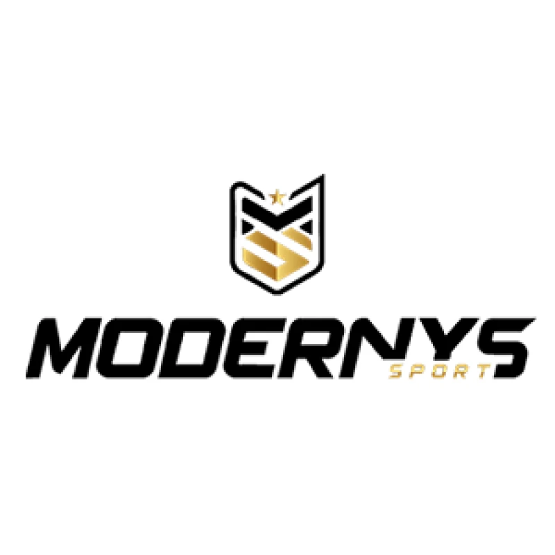 Logo MODERNIZ